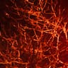 4:2:0